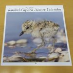 article image - 